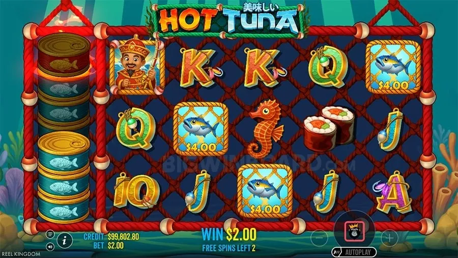 Immersive Live Casino Experience
