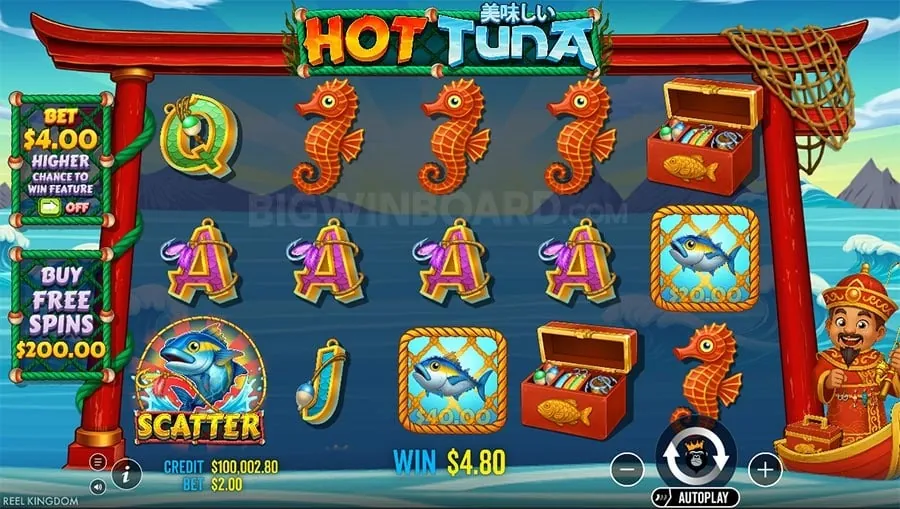 Live casino table with blackjack and roulette elements on bingoplus