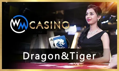 Access to Bingoplus Exclusive Games