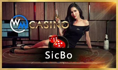 bingoplus poker game in action